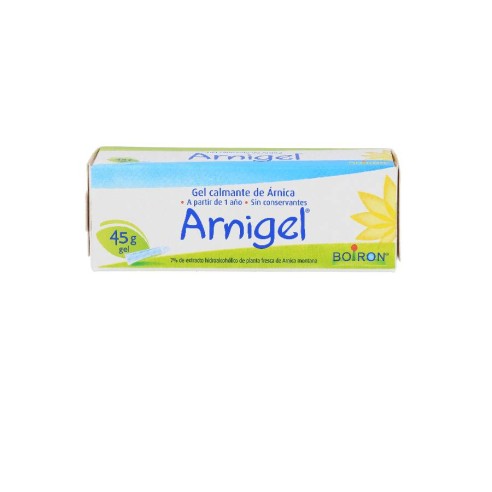 ARNIGEL  1 ENVASE 45 G